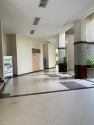 Ritz Mansion (D12), Apartment #211667721
